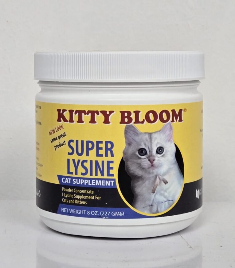 WhatsApp Image 2025-10-29 at 12.03.53 AM