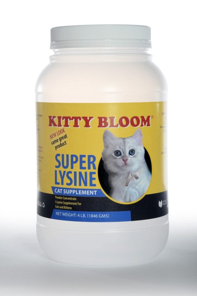 WhatsApp Image 2025-10-29 at 12.03.54 AM (1)